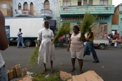 lhaiti - 16