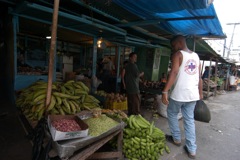 lhaiti - 8