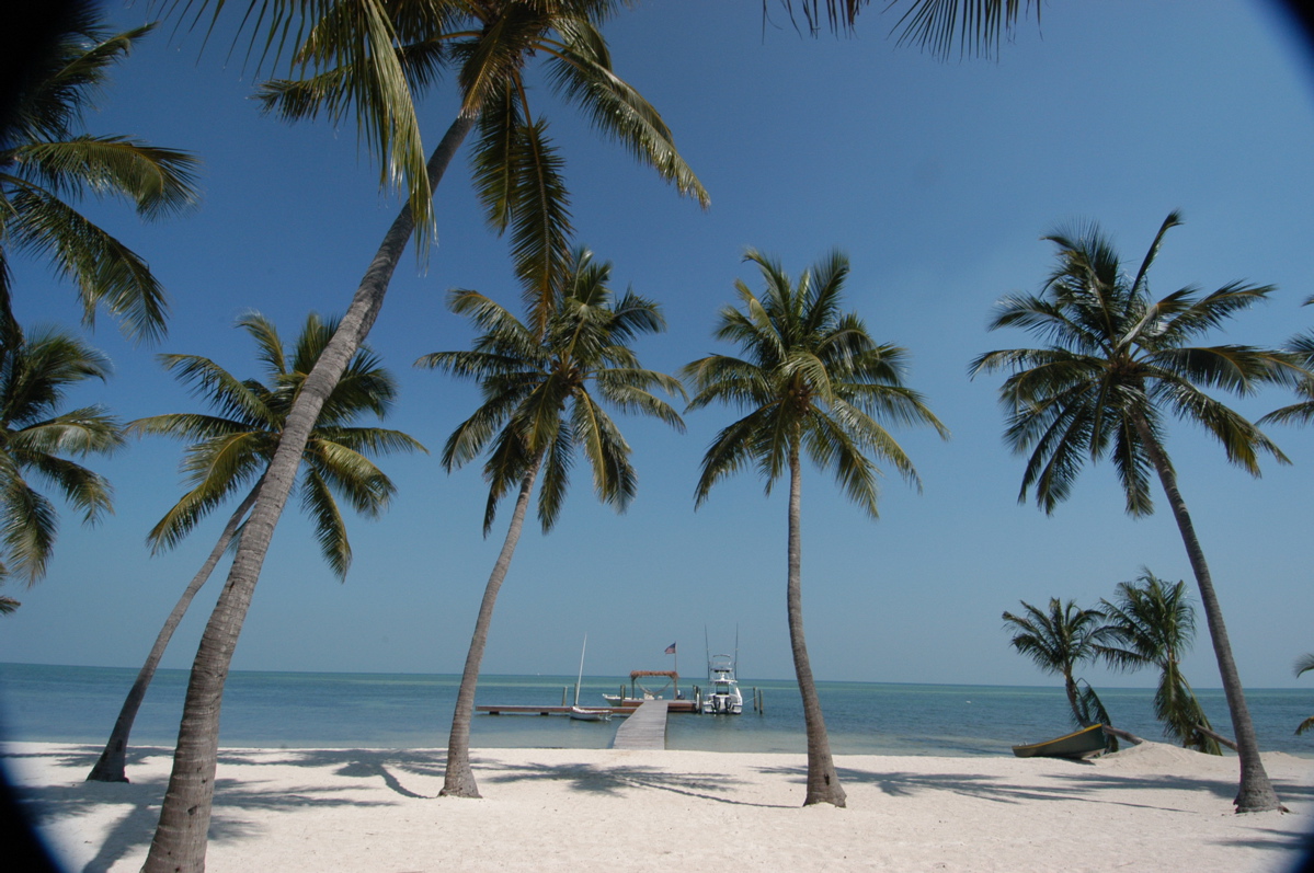 moorings - 4
