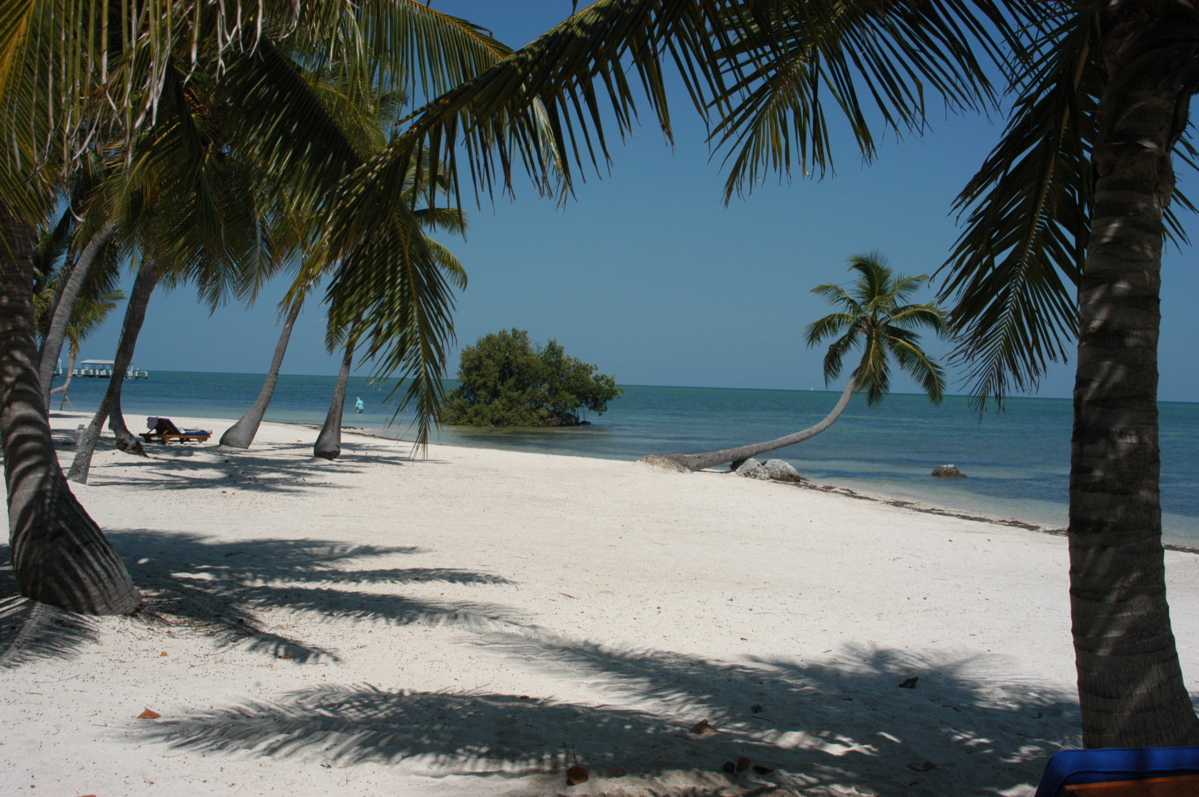 moorings - 44