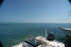 moorings - 28